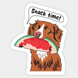 Toller Eating A Watermelon Sticker